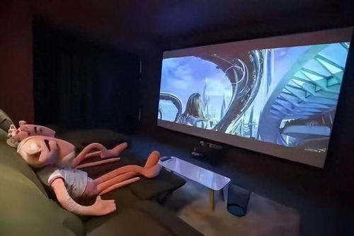 曝光 私密影院 內部全過程,看你喜歡的特殊服務,多令人作嘔